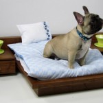 cama original perro