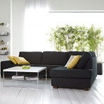 decoracion plantas interior